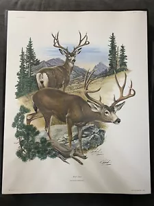 Richard Timm Signed & Registered Mule Deer PRINT 22x28 1978 JL Wade Collection - Picture 1 of 8