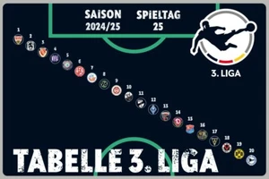 Tabla magnética DFB de la 3ª Liga (2024/25) Juego Imán Fútbol Club Logo Escudo - Imagen 1 de 6