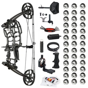 SF 40-65lbs Compound Bow Set Short Axis Steel Ball Dual Use Archery Hunting - Picture 1 of 11