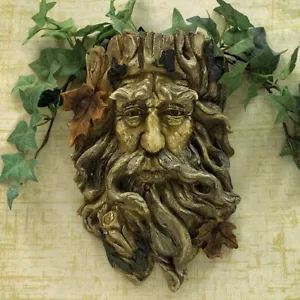Old Man Tree Face Wall Planter Wood Look Head Sculpture Resin Home Garden Decor - Picture 1 of 9