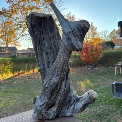 Massive Hardwood Driftwood Tree 24x11x14 – 18.5lb Dense Natural Statement Piece — 第 1/4 张图片