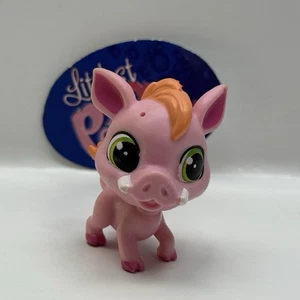WARREN PLAINLEY WARHOG #3893 - Authentic Littlest Pet Shop - Hasbro LPS - Picture 1 of 4
