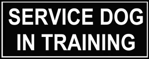 Pair of Patches - "SERVICE DOG IN TRAINING" - Picture 1 of 1
