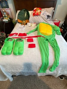 Ninja Turtles Raphael Adult Costume, Teenage Mutant Ninja Turtles Costumes - Picture 1 of 1