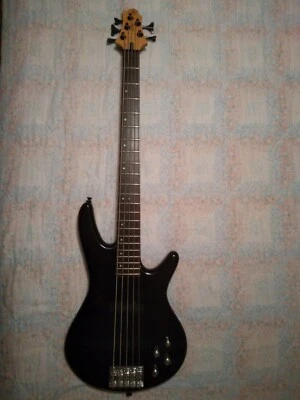 Bajo de 5 cuerdas Ibanez GSR 205 COOL L@@K Foto 1 de 4