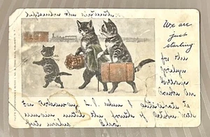 Postcard Anthropomorphic Cat Family Upright w/ Suitcases • Undivided Posted 1904 - Picture 1 of 2
