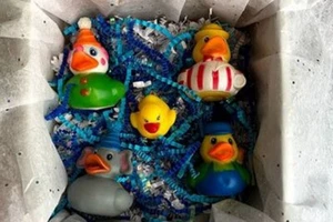 Carnival Flock Rubber Duck Gift Box Clown Elephant Circus NEW - Picture 1 of 1