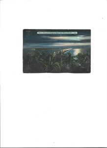 FLORIDA PC "Edison Memorial Bridge at Night, Fort Meyers" 25.02.1940 Moors Have - Bild 1 von 2