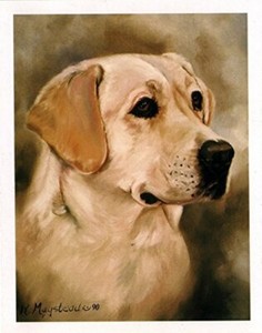 Pet Dog Yellow Labrador Head Study Notecard Set 6 Blank Note Cards Ruth Maystead