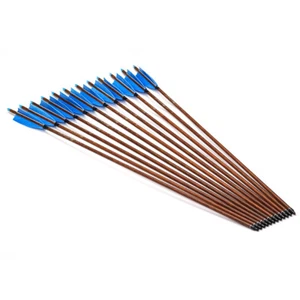 12x 31" PURE CARBON ARROWS FEATHER COMPOUND RECURVE BOW HUNTING TARGET SP500 - Picture 1 of 8