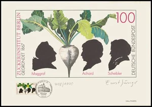 EDICIÓN DE ARTE 1991 ALEMANIA 1599 INSTITUTO AZÚCAR BERLÍN REMOLACHA ALIMENTARIA - Ltd. 1.000!! - Imagen 1 de 3