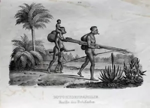 Botokuden Brasilien Urwald Pfeil Bogen Blasrohr Piercing Lippen Aymoré Indianer - Bild 1 von 1