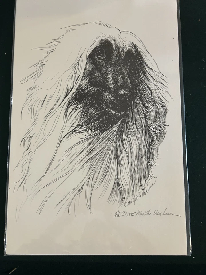 Afghan Head by Martha Van Loan 11 x17 signed and numbered Print - Image 1 of 1