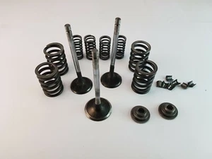 HUSQVARNA TE 410 TE410 1995 VALVE SET SPRINGS COTTERS RETAINERS 8000 68589 - Picture 1 of 12