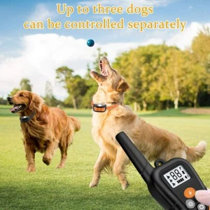Dog Training Collar for 1 Dog Waterproof Rechargeable Shock Collar with Vibratio - Picture 1 of 6
