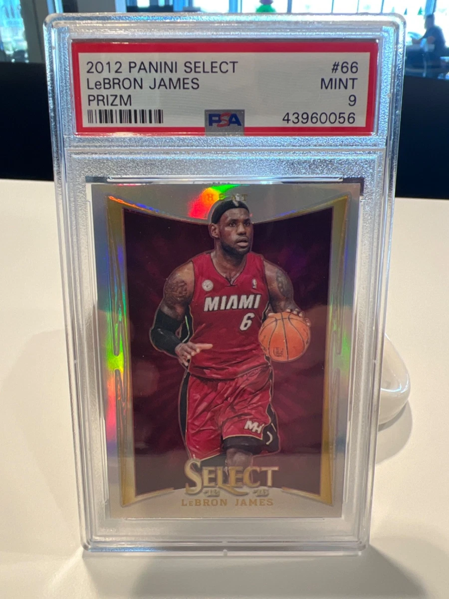 Panini LeBron James Basketball 2012-13 Season Sports Trading Cards