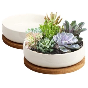 Succulent Pots, 6 inch White Ceramic Flower Planter Pot with Bamboo Tray, Pac... - Picture 1 of 8