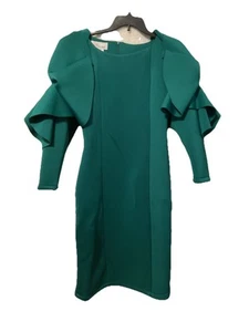 NWT EY Boutique Formal Dress Vintage Ruffle Sleeve MOB Cruise Dance Formal - Picture 1 of 8
