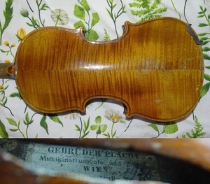 KINDER WIEN 1/4 GEIGE beschriftet GEBRUDER PLACHT (Nr. 389) + Koffer - Bild 1 von 19