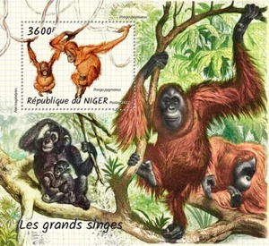 Niger Stamps 2022 MNH Apes Monkeys Souvenir Sheet 1 Stamp - Picture 1 of 1