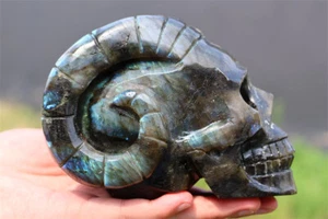 3,12 Pfund natürlicher Labradorit Quarz geschnitzter Kristall Schaf Horn Schädel Reiki.X4833 - Bild 1 von 11