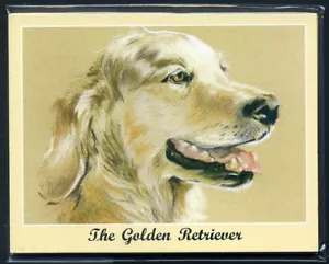 THE GOLDEN RETRIEVER - Juego de Tarjetas de Coleccionista de Perikim Best Friend del Hombre Razas de Perro - Imagen 1 de 3