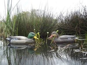 10 pezzi arricciacapelli molto realistici, caccia all'anatra, anatra bastone, richiamo, anatra, nuovi! - Foto 1 di 1