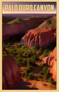 Póster de viaje artístico Palo Duro Canyon State Park Texas (firmado 11x17) EE. UU. - Imagen 1 de 1