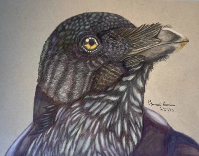 Lápiz de colores original Raven ilustración 9x12 Foto 1 de 2