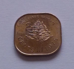 Swaziland 2 Cents 1975, Trees - F.A.O. - Picture 1 of 3