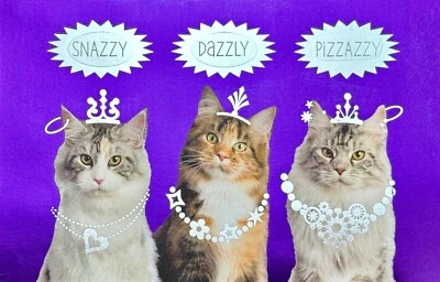 Funny HAPPY BIRTHDAY Card, Snazzy Dazzly Pizzazzy Cats by American Greetings +✉ - Image 1 of 4