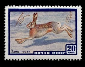 Hase. Feldhase. 1W. UdSSR 1960 - Bild 1 von 1