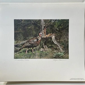 1993 Texas Turkey Stamp Print Conservation Edition Signed By Ragan Gennusa - Picture 1 of 3