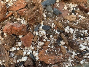 5 Liter Ben's Philodendron & Monstera Soil, Spezial Erde  - Bild 1 von 4