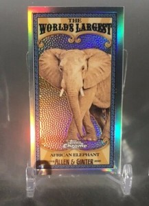 2025 Allen & Ginter Chrome Mini Worlds Largest #MWL-5 African Elephant