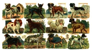 Dog Breeds, paper scraps, from Tuck Gigantic Relief 1124, circa 1885 - Picture 1 of 2
