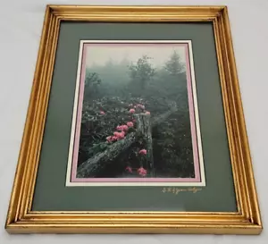 Rhododendren GERAHMTES FOTO VON O.R. & Jeans Setzer gerahmter nebliger Morgen 16 Zoll x 13 Zoll - Bild 1 von 17