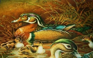 Vtg Springbok Puzzle Ducks Family Ducklings In Pond 500+ pcs  -BKK ! - Picture 1 of 8