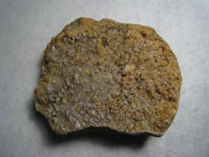 Oolitic Quartz Druzy Metamorph Specimen Stone As Found Kansas USA - 323 Grams - Picture 1 of 24
