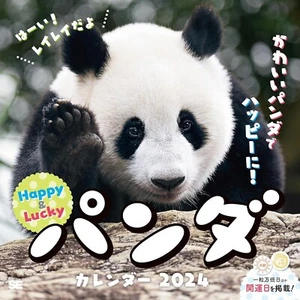 Calendario Happy & Lucky Panda 2024 Mini Montado en la Pared Tipo 20cm × 20cm Japón Nuevo - Imagen 1 de 14