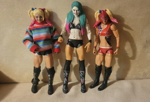 3 WWE Elite CUSTOM Alexa Bliss (Harley Quinn) Wrestling Action Figures Cover