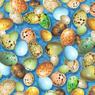 Fabric Wild Bird Eggs on Blue Hummingbirds Garden Cotton QT 1/4 Yard 28156 - Image 1 of 4
