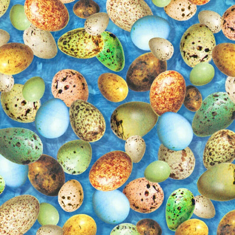 Fabric Wild Bird Eggs on Blue Hummingbirds Garden Cotton QT 1/4 Yard 28156 - Image 1 of 4