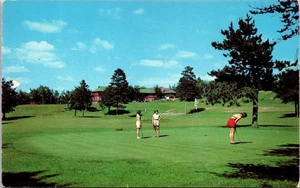 Madden Pine Beach Inn Golf Course Brainerd, MN Minnesota Postcard Girl Putting - Picture 1 of 2