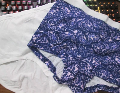 New 2 Hanes Brief + Shortie💕 Size 7 Blue Print + White 100% Cotton - Image 1 of 4