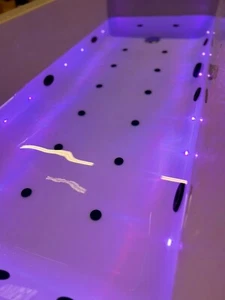 Black 22 Jet Whirlpool + AirSpa + Led Lights 1800 x 800mm Square Single End Bath - Picture 1 of 3