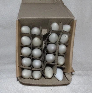 C-9 C9 Christmas Bulbs 20 Replacements White - Picture 1 of 2