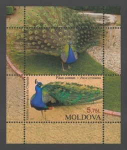 Moldova 2013 Birds Indian Peacock MNH Block  - Picture 1 of 1