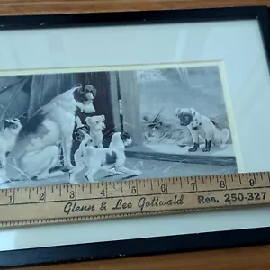 Antique lithograph Print Jack Russell Terrier Dog Art Framed Disgrace to Family - Picture 1 of 23