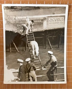 ATLANTIC CITY NJ-REAR VIEW 3 MEN CLIMBING DOWN NET AFTER HUMAN CANNONBALL ACT - Picture 1 of 4